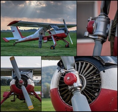 PZL-104 Wilga
