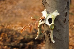 Nevstupovať - straší