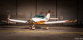 WT9 Dynamic