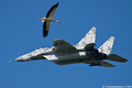 Mig-29AS a útočník