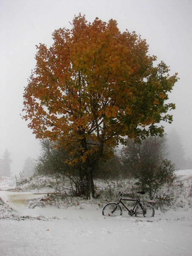 Hájofka