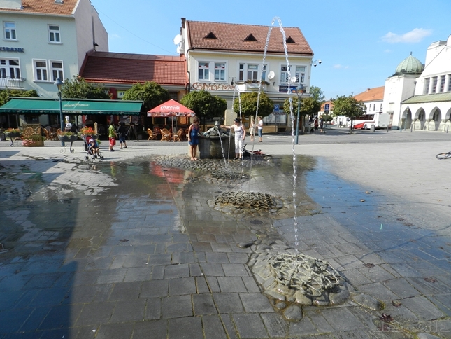 Fest pľuvanec