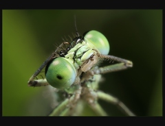 A takhle jsem mu zlomila vaz!