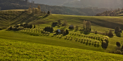 neobjavená krajina