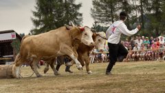 Encierro ala Sihla