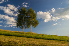 posledné lúče