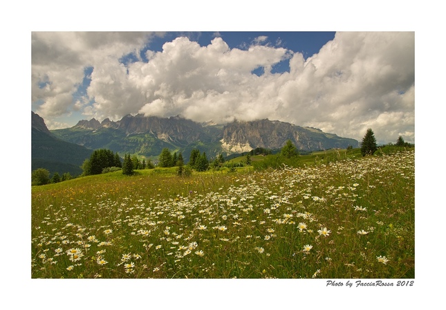 Dolomiti