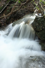 Vodička