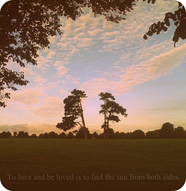 trees