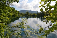 Pohled