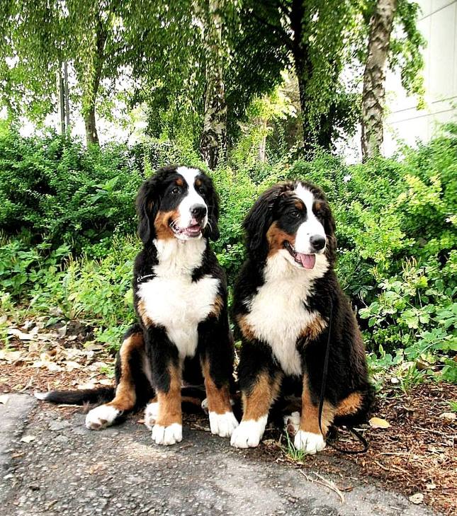 Ewa a Marley
