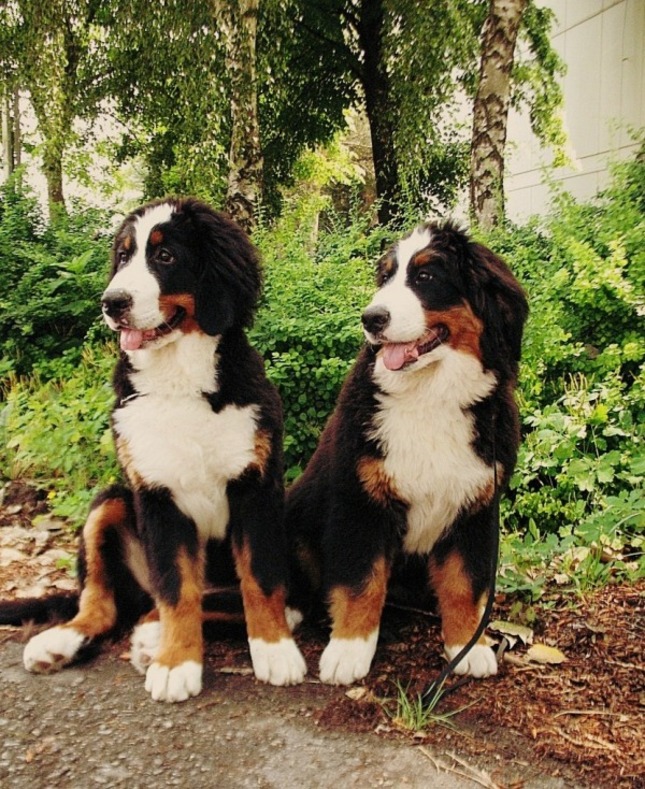 Ewa a Marley
