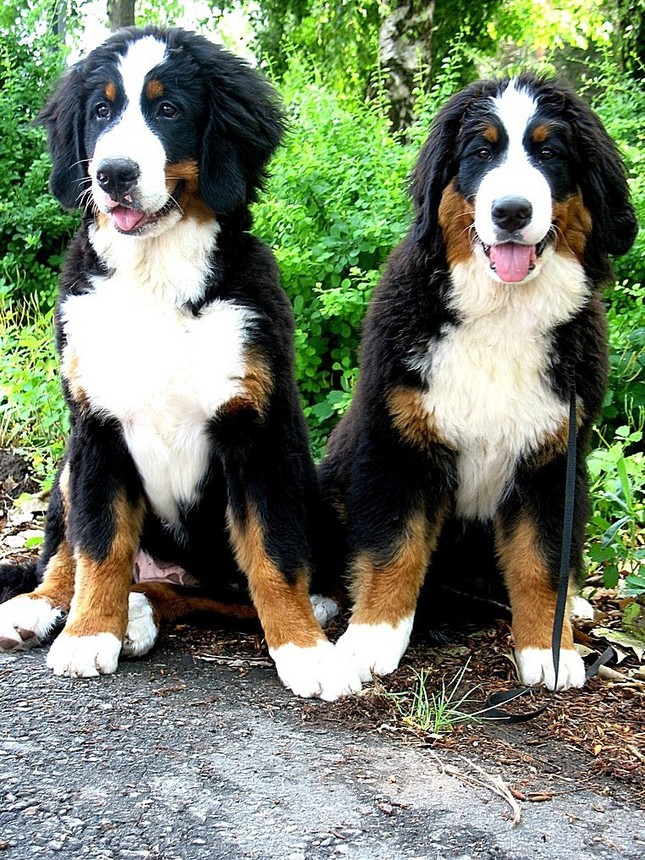 Ewa a Marley
