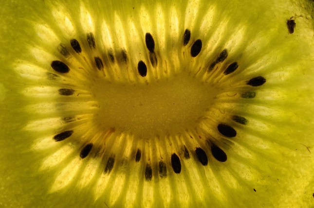 kiwi