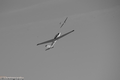 . . . to the sky . . .