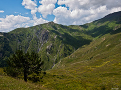 Kaukaz - nad Mestiou