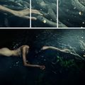 ""the dream of dark forest II"