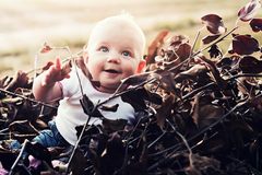 usmievavé slniečko :)