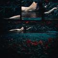"the dream of dark forest I"