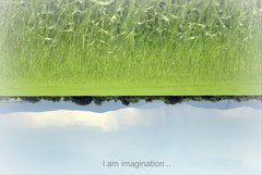 I am imagination...