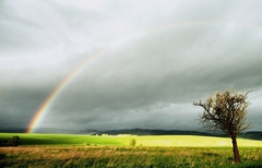 Under the rainbow