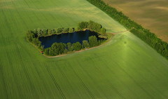 Oko poľa