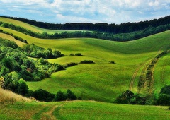 letná