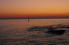Lonely