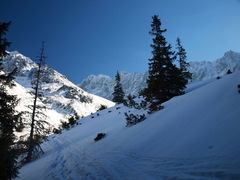 V Javorovej doline