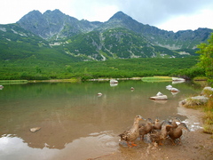 Pri Bielom plese