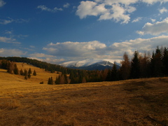 Jarný podvečer