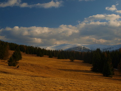 Jarný podvečer