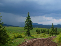 Búrka