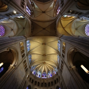 katedrála
