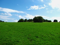 Príroda