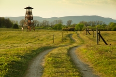 jarná