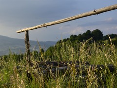 samota