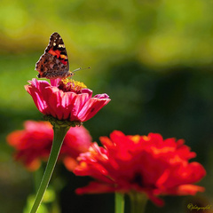 Prekrásny, farebný svet :)