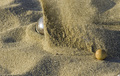 Petanque