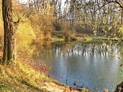 Jesenné zátišie