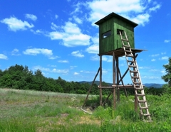 Poľovnícky posed