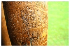 Cherwototch team-work :)