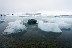 Jokulsárlón
