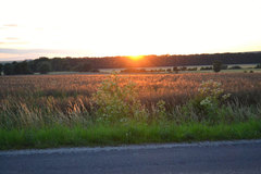 krajinka