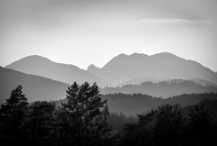 Vršatec
