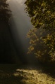 jesenne luce