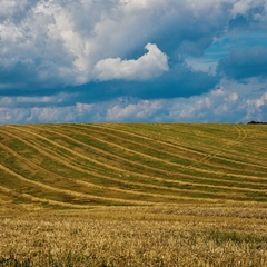 bez nazvu