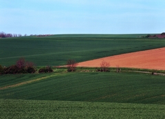 bez nazvu