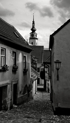 spoluzitie