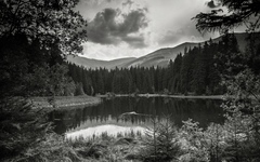 Vrbicke pleso